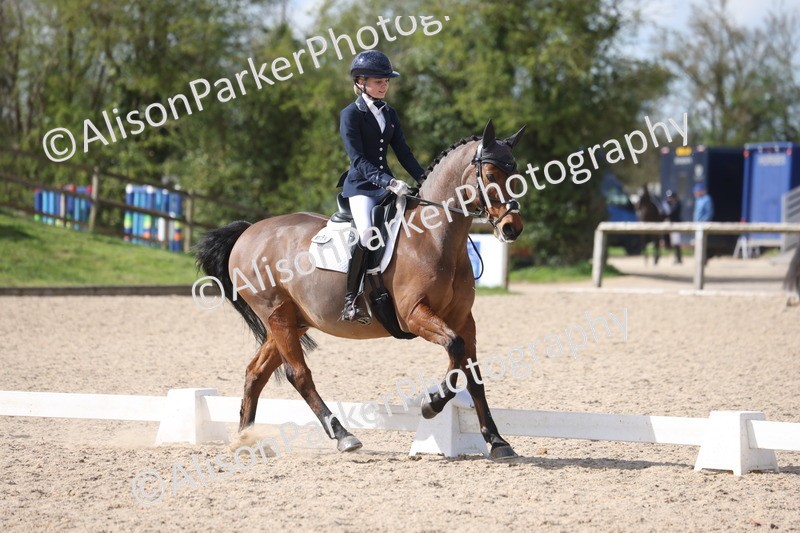 20260405-0917 - Pony FEI