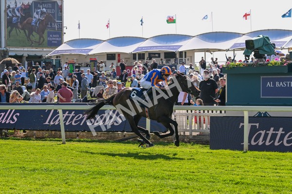 140525-Race 4-Whirl-2440 - Race 4 3.45pm Tattersalls Musidora Stakes