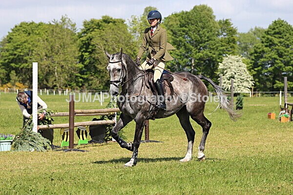 IMG_4660 - Working Hunter