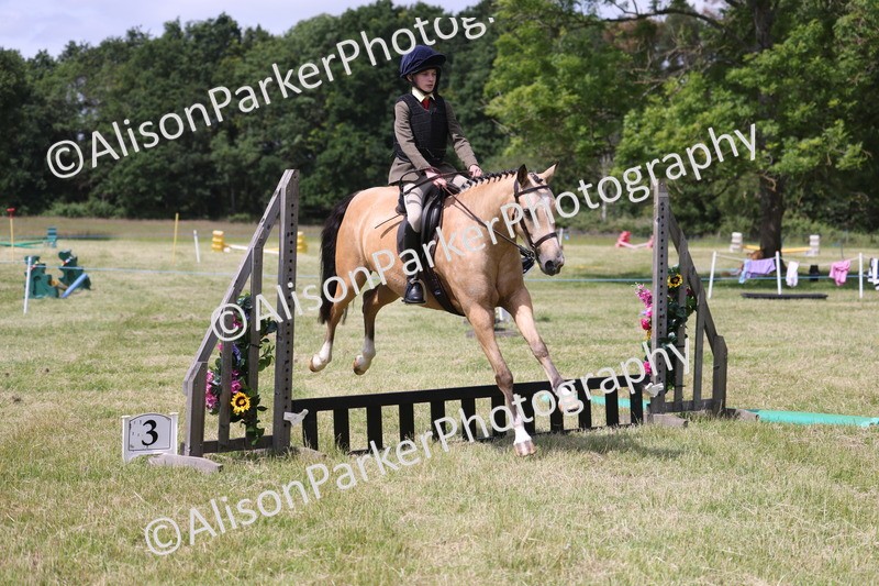 20260614-1776 - Class 21 - Novice Working Hunter Pony