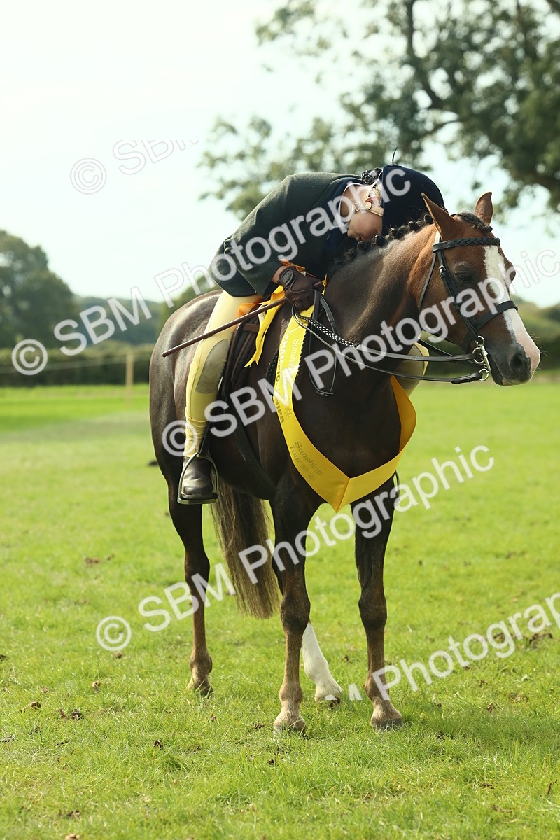 SBM_68150 - S57 - Part Bred Pony Ridden