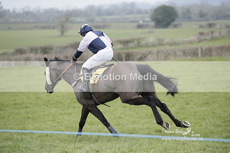 PtP 050323 498 - Blackmore & Sparkford Vale Hunt PtP - Somerset 05/03/23