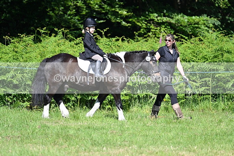 WJ7_0739 - Class 8 First Rally Pony