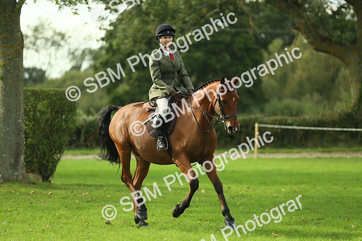 SBM_50670 - S33 - Working Hunter & Working Show Horse