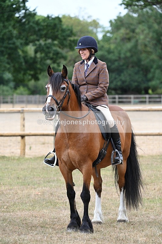 WJ7_0662 - Class 6 Ridden Mountain and Moorland
