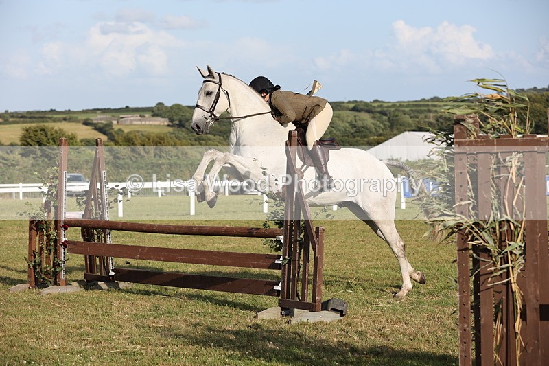 JPP_3492 - Class 22: Working Hunter 90cm