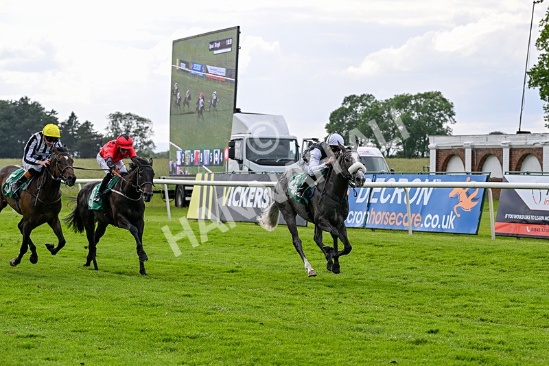 050626-Race 7-Daizen-3842 - Race 7 17.20pm Next Meeting Tuesday 16th June Featuring Royal Ascot Handicap