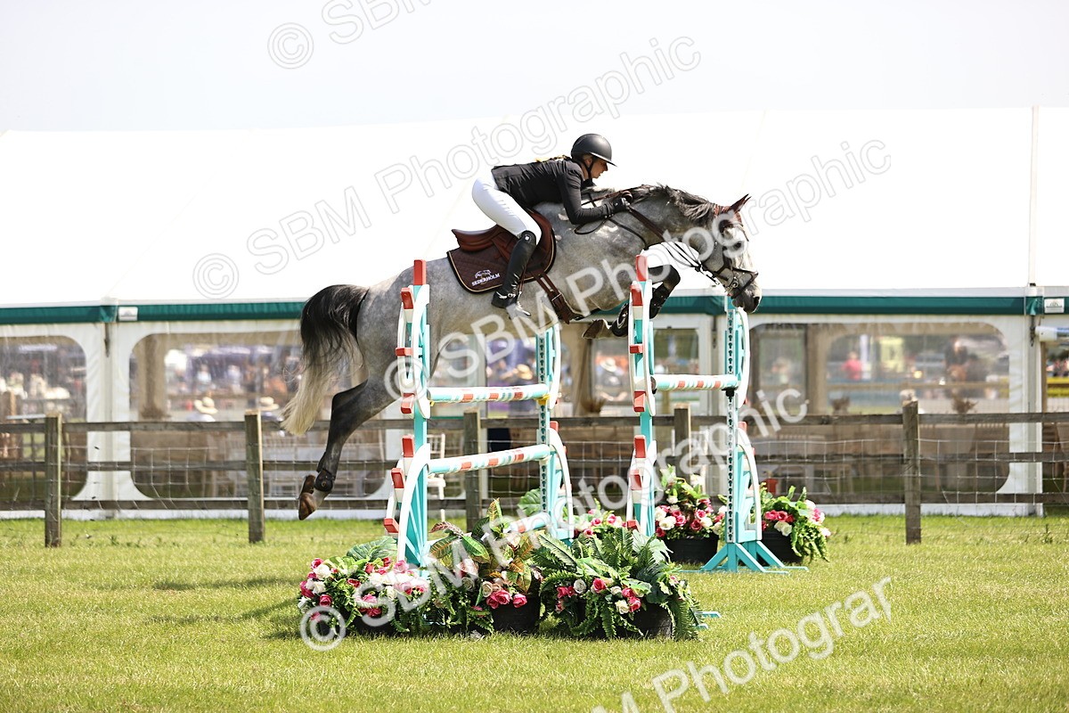 SBM_03179 - Class 201 - British Horse Feedds Speedi Beet HOYS Grade C