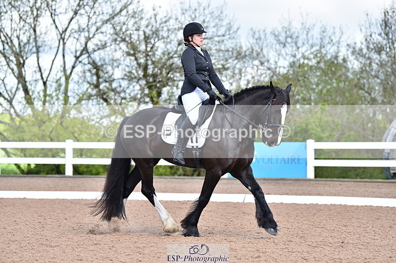 230511A-100510-00190 - BD Cls 2 Prelim 17A