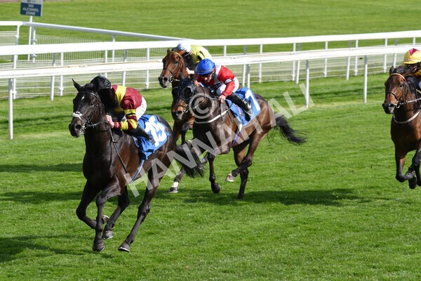 yr12052021r7-22 - Race 7 4.50 pm Conundrum HR Consulting Stakes