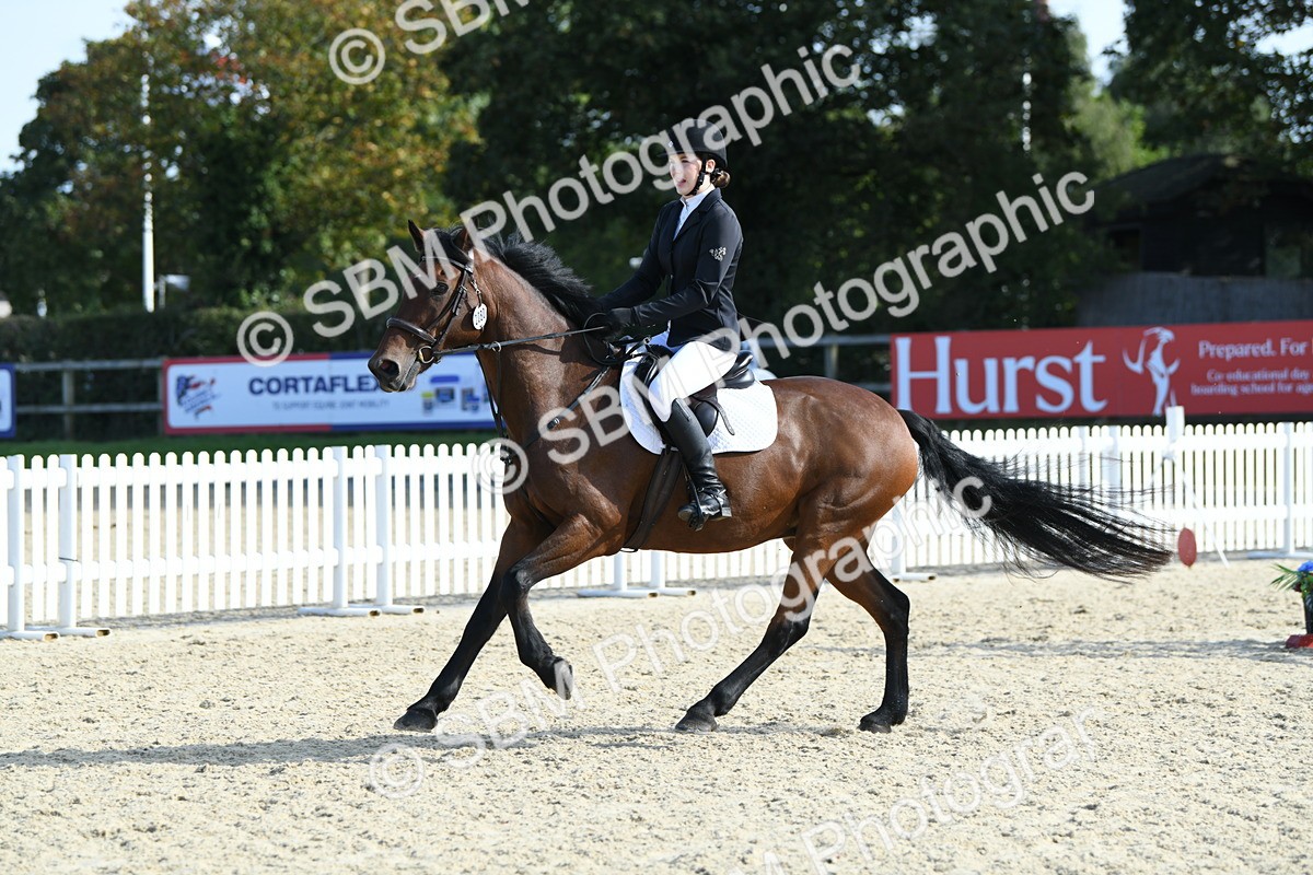 SBM_61563 - j25 - Junior Horse 80cm Championship