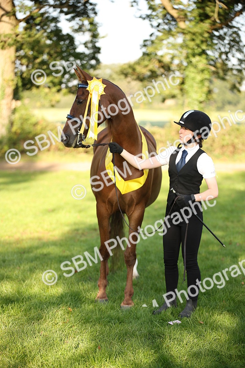 SBM_57588 - S50 - Foreign Breeds In Hand