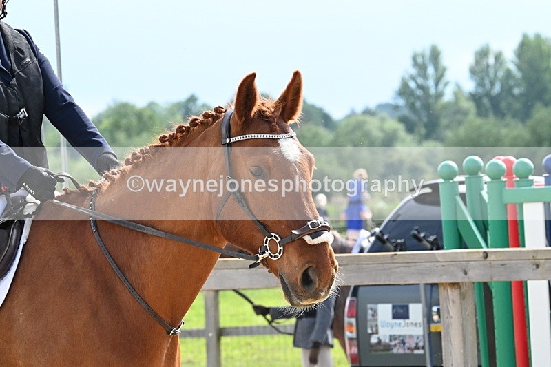 WJ7_8291 - Time 16:10 to 16:25