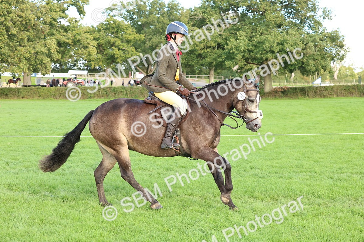 SBM_50221 - S34 - Novice & Newcomers Working Hunter