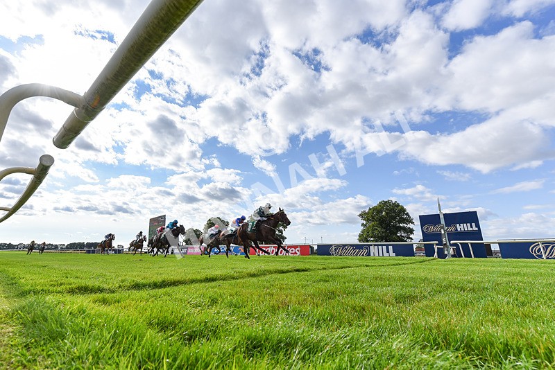 020825-Race 7-Koji-8261 - Race 7