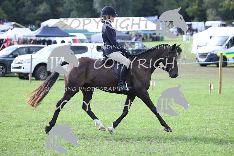 APP_4172 - Class 15a/b Pony club pony/Riding club horse