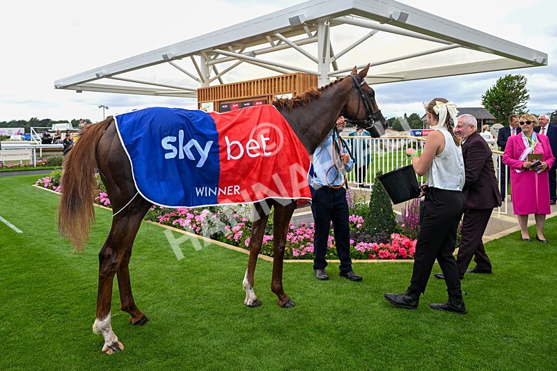 250726-Race 3-Item-0324 - Race 3 14.35pm Sky Bet York Stakes