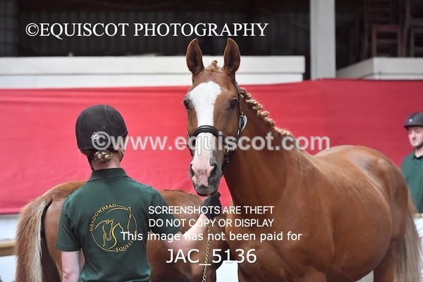 JAC_5136 - 9 Zinzipan