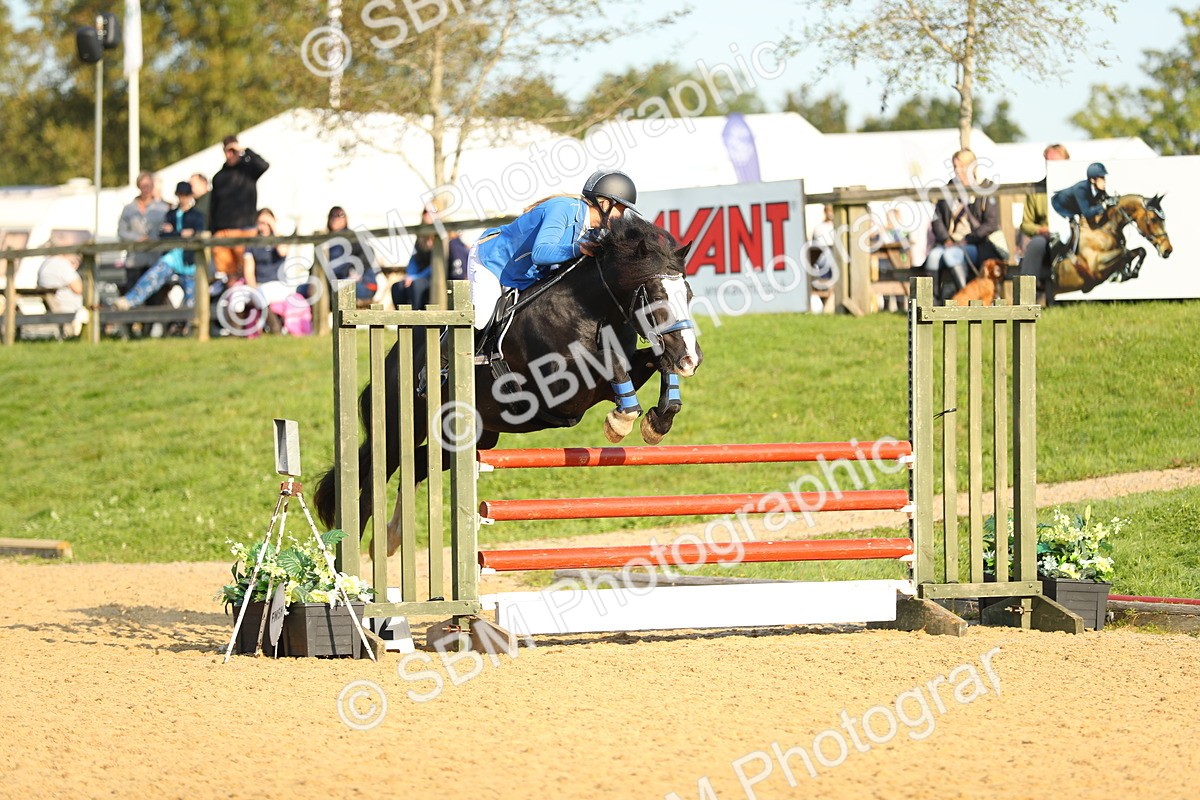 SBM_60183 - J41 - Grand Tour 95cm Championship