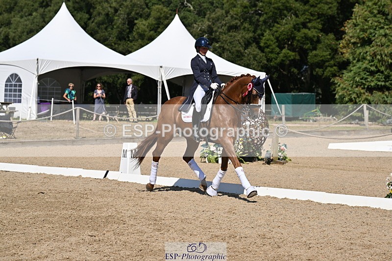 250810A-152902-08043 - Intermediate I GOLD Presentations