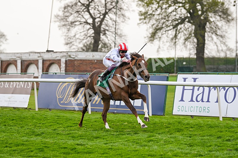 120425-Race 5-Majestic Warrior-1330 - Race 5