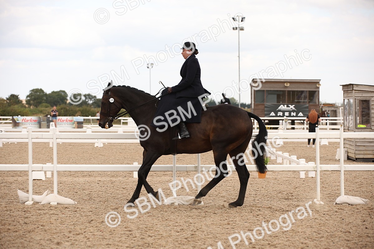 SBM_05354 - Class 22 SSA Equitation
