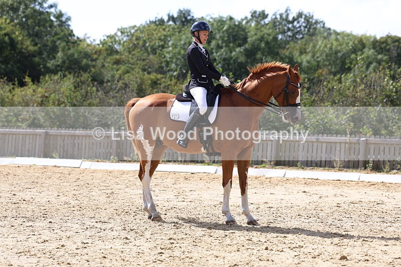 3E7A4854 - Class 11: Elementary Music