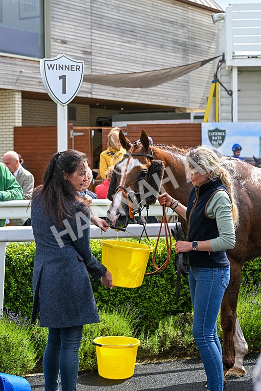 180624-Race 1-The Dancing Poet-0076 - Race 1