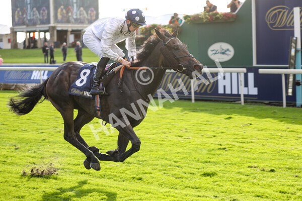 yr07102022r4-45 - Race 4 3.50pm William Hill Best Odds Guaranteed Stakes