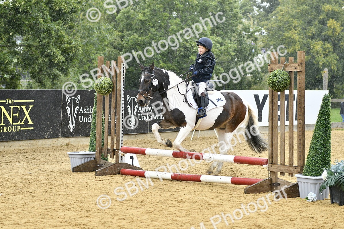 SBM_70790 - J3 - Mini Tour Junior Pony 40cm championship