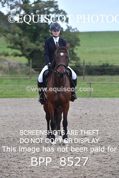 BPP_8527 - CLASS 3 Pony BritiNovice / 0.80m Open