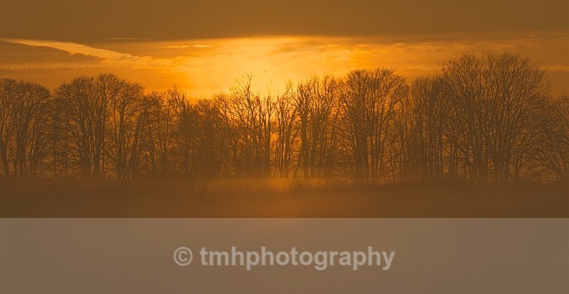 Golden Hour - Snow Scene's /Winter