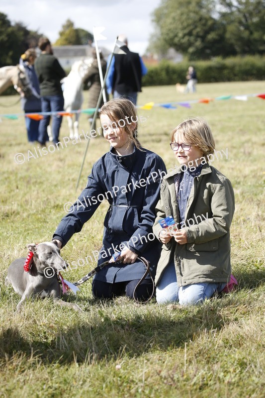 20250831-3731 - Dog Show