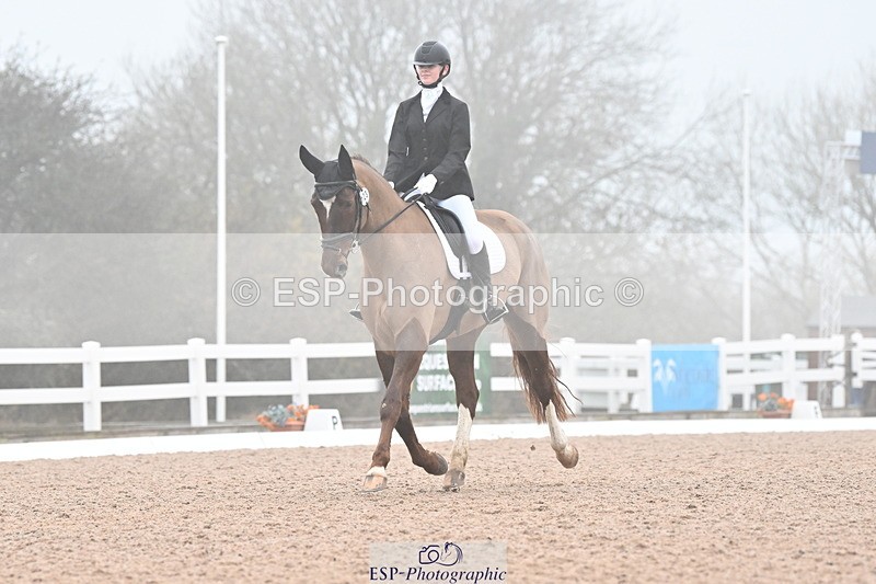 240217A-095120-00456 - 123-Daisy.Hedges-Felicia.v