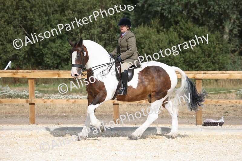 20260802-0453 - Class 6 - Veteran Ridden
