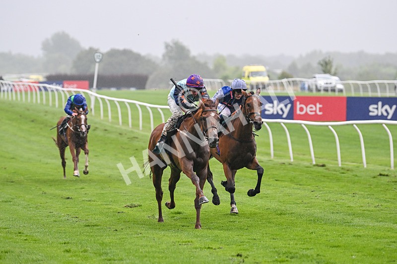 230725-Race 4-Brave Emerald-0204 - Race 4