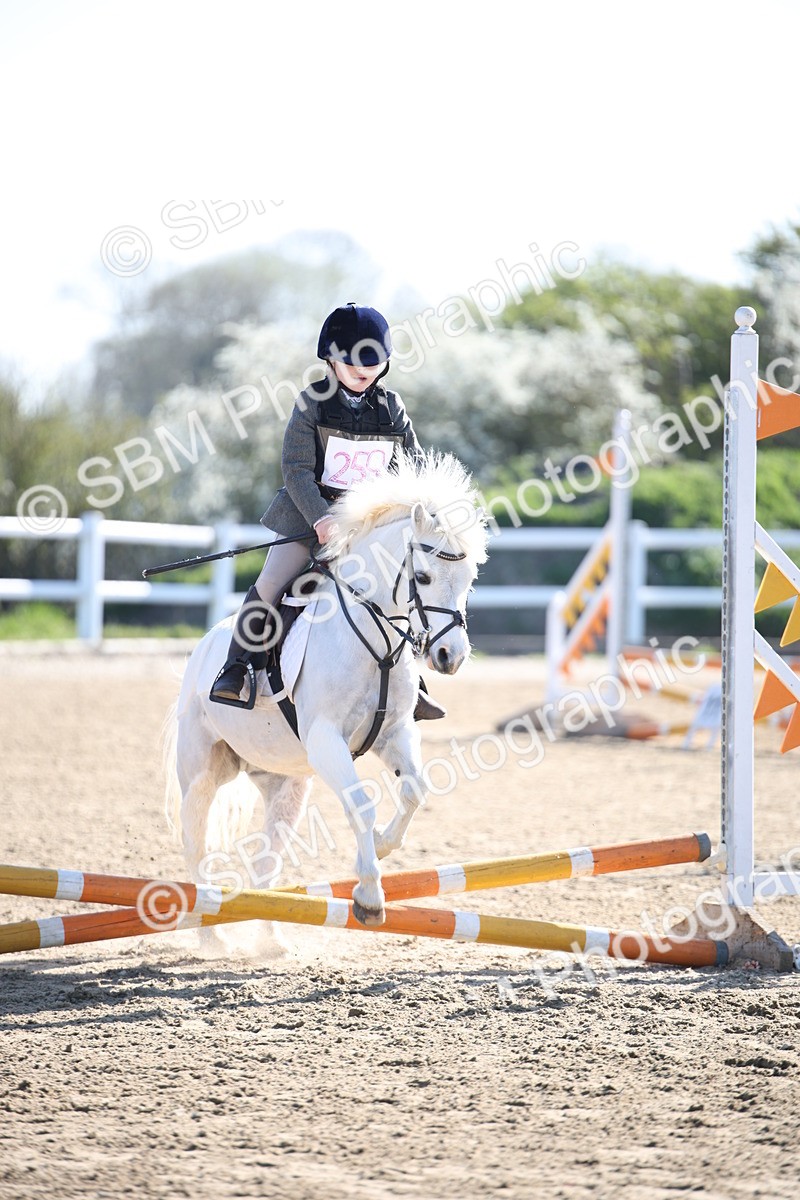 SBM_000224 - Class 1 - 40cm