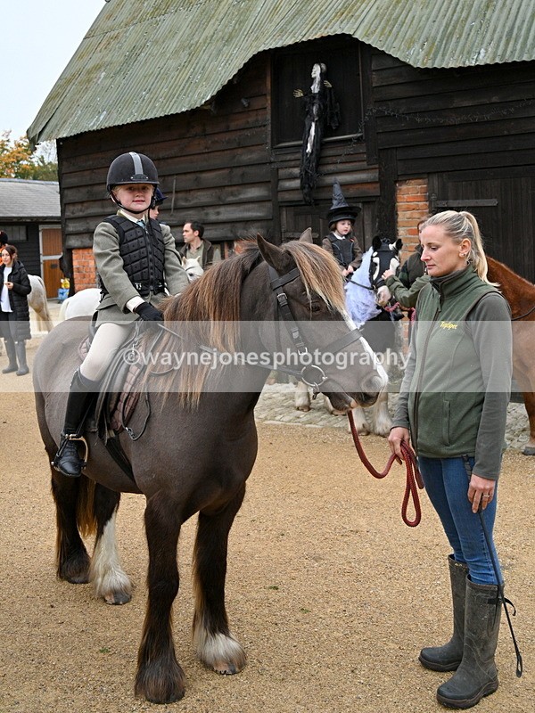 WJ7_6034 - Berks & Bucks - Children's Meet - The Old Farmhouse – Steventon.