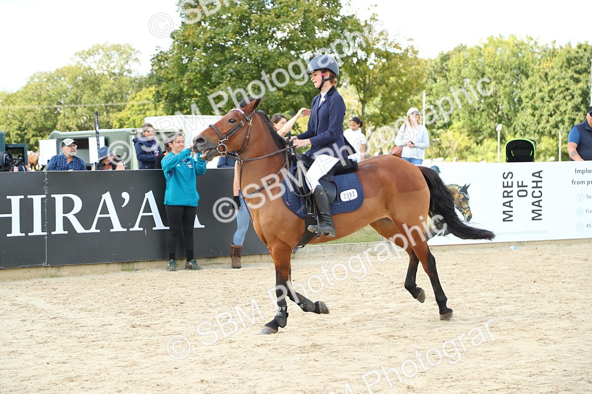 SBM_41542 - J6 - Junior Pony 55cm Championships