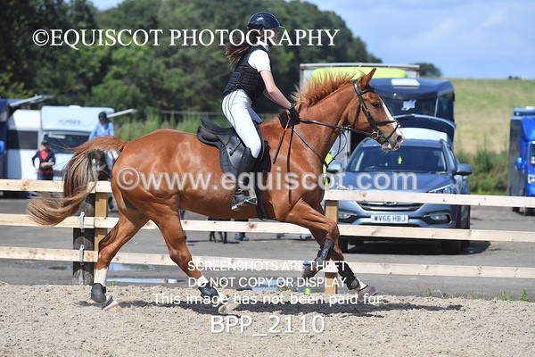 BPP_2110 - DERBY CLASS 6 - 70CM