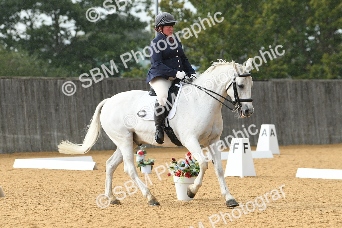 SBM_11129 - D28 Elementary Taster Elementary 42