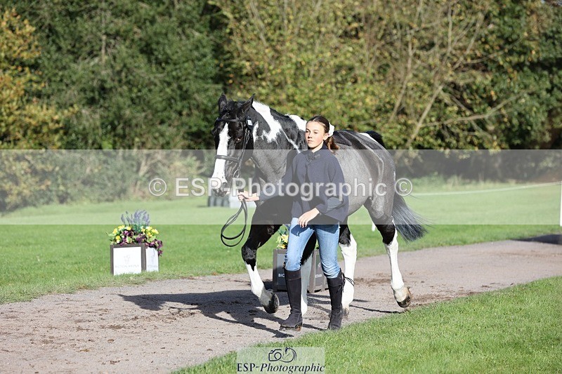 241027-102703-15893 - 544-Natasha.Crapper-KILCORBAN.MY.FAIR.LADY