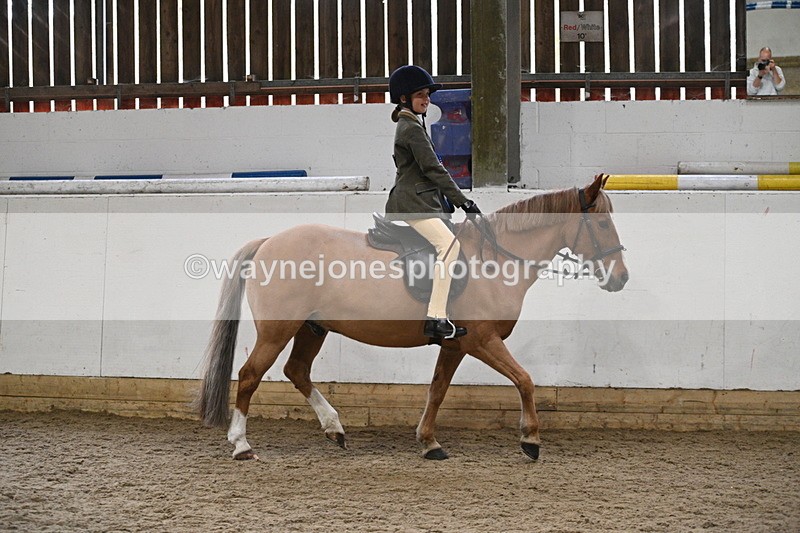 WJ7_4472 - Afternoon Champs