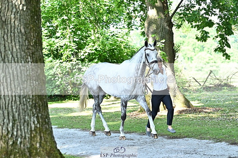 250521A-160133-00867 - C-203-Jonelle.Price-FAERIE.USAIN