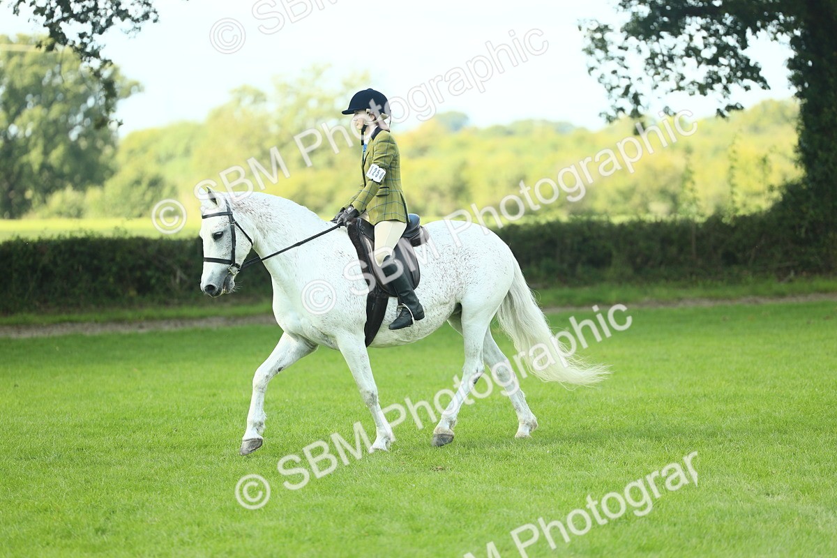 SBM_43038 - S30 - M&M Working hunter Pony