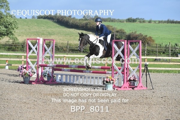 BPP_8011 - CLASS 31 SUN Club/ Unaffiliated 80cms Open