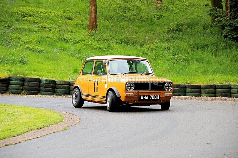 _56A1562 - MINI FESTIVAL 22ND May 2021