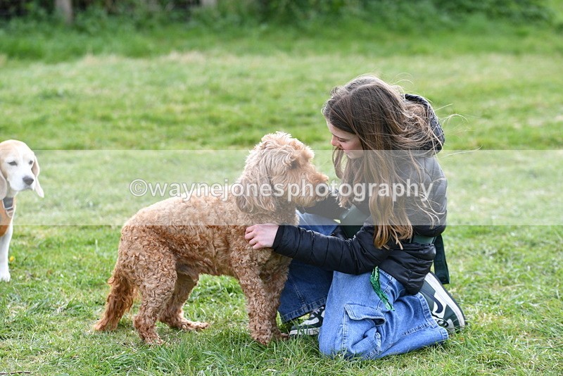 WJ5_0195 - Class 5 Best Veteran / 7 years & over