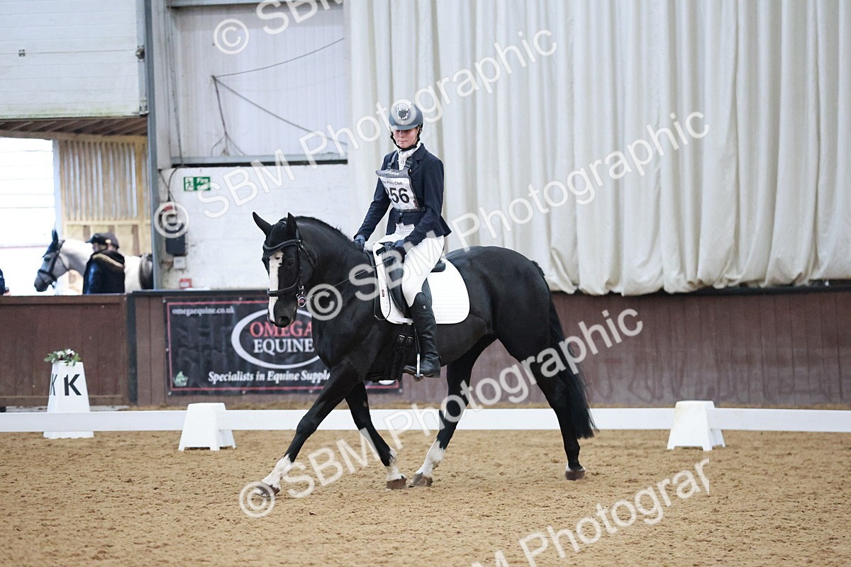 SBM_004614 - Ring 3 - International -  Working Hunter Classes 23-2-25
