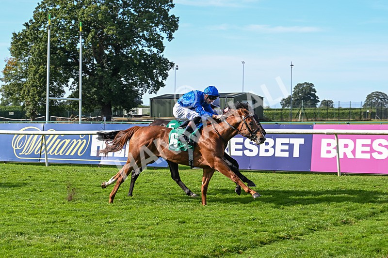 160924-Race 4-Watching Stars-2889 - Race 4